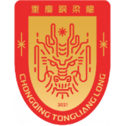 重庆铜梁龙vs河南