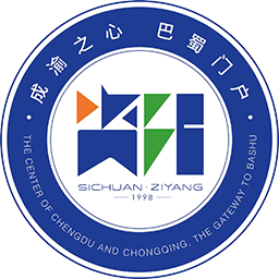 资阳队vs泸州队
